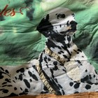 Vintage Budweiser Anheuser Busch Inc Beer Clydesdales Dalmatian Dog Beach Towel