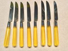 Mcm  40 Piece  Frosted Yellow  Acrylic bakelite Type  Stainless Steel Flatware 