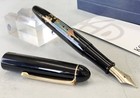 Platinum Moomin Makie Fountain Pen 14k Nib Limited 2009 Box Included