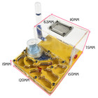 Diy Acryl Mini 3d Ant Farm Ant Nest With Feeding Area Ants House Insect Villa