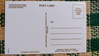 Vintage Post Card North Shore Animal League   Abandoned Dogs 