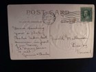 Primitive  Santa Claus With Tree  holly antique  Christmas Postcard p144