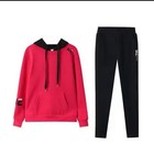 2pcs Tracksuit Women Hoodies Sports Tops Pants Sweatshirt Sweat Suit Jogging Set