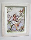 Flower Fairy Prints 2 - Cicely Mary Barker Bindweed   Cherry Blossom Framed