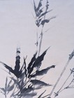 Original Japanese Hanging Scroll Kakejiku Bamboo Zen Art Kasen Ohira Signed