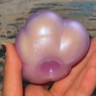 Schylling Needoh Cloud Pleaser Gumdrop Squishy Sensory Fidget Stress Squeeze Toy