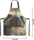 Funny Baking Apron Novelty Cooking Chef Present For Men Womens Baking Present Fu