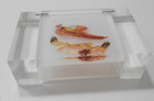 Massive Lucite Trinket   Cigarette Box - 1940-50 s