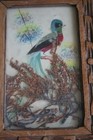 Vintage Mexican Folk Art Bird Feather Painting Wood Frame 7x5