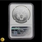2017  1 American Silver Eagle Ngc Ms69 Brown Label Scratch In Case -e627