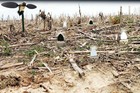 Mojo Dove-a-flicker Spinning Wing Dove Decoys For Dove Hunting  4 Pack