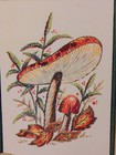  Vintage Greeting Card - New No Envelope Birthday Card Fall   Thanksgiving 