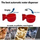 Chicken Waterer Cups 12 Pack Automatic Chicken Water Cups For Poultry Float S   