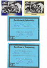 Two  2  Herb Thomas Signed Masters Of Racing Nascar Cards W coas - 2x Champion