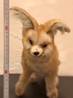Hansa Realistic Fennec Fox Plush Animal Collectible Toy