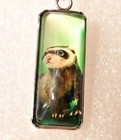 Ferret Standing Glass Silver Alloy Drop Hook Earrings Jewelry
