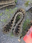 Pair Of Mini Excavator Mini Skidsteer Rubber Tracks 230x72x39 Bobcat Mt55