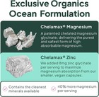 Organics Ocean Pure Magnesium Glycinate Low Dose Zinc Chelated 90 Capsules New