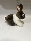 Webkinz Signature Dutch Bunny Mint Unused Sealed Code