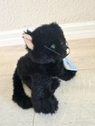 Webkinz Black Cat Rare Retired Mint Condition Sealed Tag   Unused Code