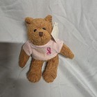 Avon Breast Cancer Crusade Teddy Bear Bean Bag Plush Stuffed Animal Toy 2001 6   