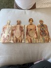 Vintage Human Anatomy Pamphlets Male Female Medical Teaching Aids Set 1940-1950