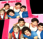 Vtg One Direction Lot 2 Pillow Cases Harry Styles Liam Payne Zayn New 30  X 20 
