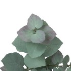 Faux Silver Dollar Eucalyptus Stems - Set Of 12