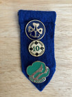 Girl Scout And Brownie Pins On Insignia Tabs