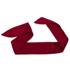 Naruto Rock Lee Leaf Village Red Cosplay Costume Headband Official License Legit