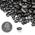 10lb Black Polished River Rock Pebbles For Landscaping   Decor
