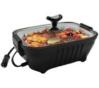 Roadpro 12v Roaster Personal-sized Roaster For Camping Or Tailgating Rpsc200 New