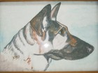 1993 Signed Watercolor Dog Painting Signed Personalized Kizzy Pet Portrait