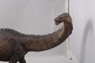2015 Papo Apatosaurus Model 55039 - Pvc Figure