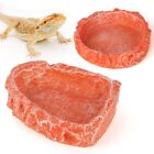 Reptile Water Dish Food Bowl For Bearded Dragon Tank Accessories  Hyggerzoo 