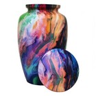 New Colorful Urn For Human Ashes Adult Cremation Urns With Velvet Bag 10  Us