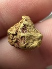 Gold Nugget From Alaska  3 273 Grams