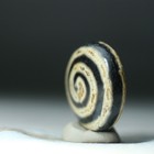 Tibetan Old Dzi Agate Bead  prayer Wheel  Amulet Pendant From Tibet 40647