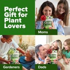 15 Culinary Herb Seeds Kit Non-gmo Usa High Germination For Indoor Outdoor Grow