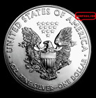 2010  American Silver Eagle   1  Oz   Pure Fine Silver 999 Bullion Coin   Ex-unc