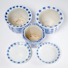 Chinese Small Blue White Jardiniere Flower Plant 3 Pots 2 Saucers Mixed 5pc Lot