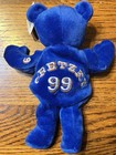 Wayne Gretzky  99 Salvino s Bammers Blue Plush Bear 9  Nhl Edmonton Oilers 1999
