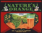 Vintage Soda Pop Bottle Label Natures Orange Soda Seelig Wallace Idaho Unused