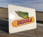 Dekalb Seed Corn Sign  Vintage Metal Advertising Sign  Farm Seed Corn Sign F