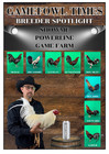 Showme Fowl Gamefowl Hatching Eggs From The Following Lines