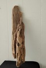 Large Raw Ocean Driftwood Slab 