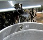 5 New Maple Sap Syrup 7 16 Taps   Stainless Steel Spouts  With Bucket Hooks