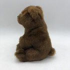 Ty Classic Plush Brown Bear Woodson Stuffed Animal 2008 Beanie Lovey Toy 11 