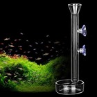 Shrimp Feeding Tube And Dish clear Crystal Glass Shrimp Feeder Tube Tray For    