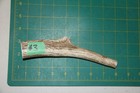 Small Upper Elk Antler Dog Chew  3   Bone Chews Moose Treats Deer 1011